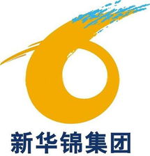 高效貿易橋梁 山東新華錦國際商務集團的專業代理代辦服務